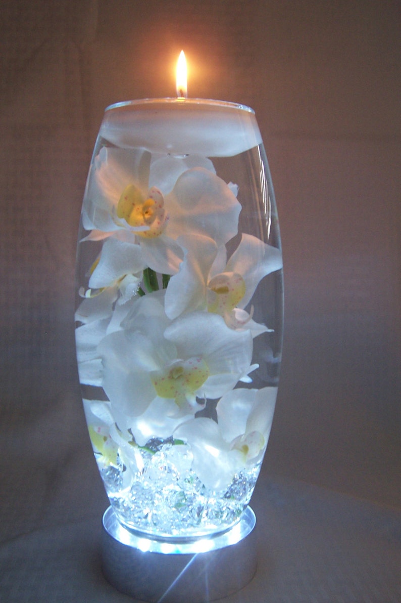 White Orchids in Water All in a 12 Inch Vase Which Sits on a Etsy