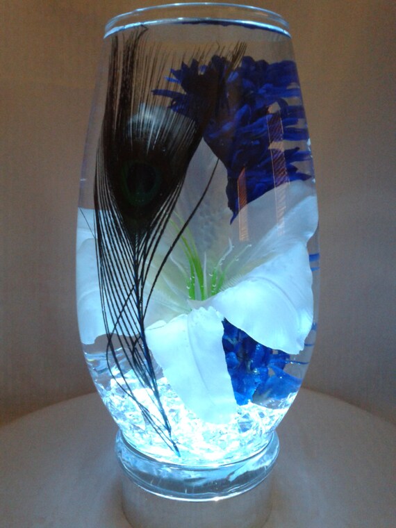 An Elegant Single Peacock Feather Displayed Against A Pure Etsy