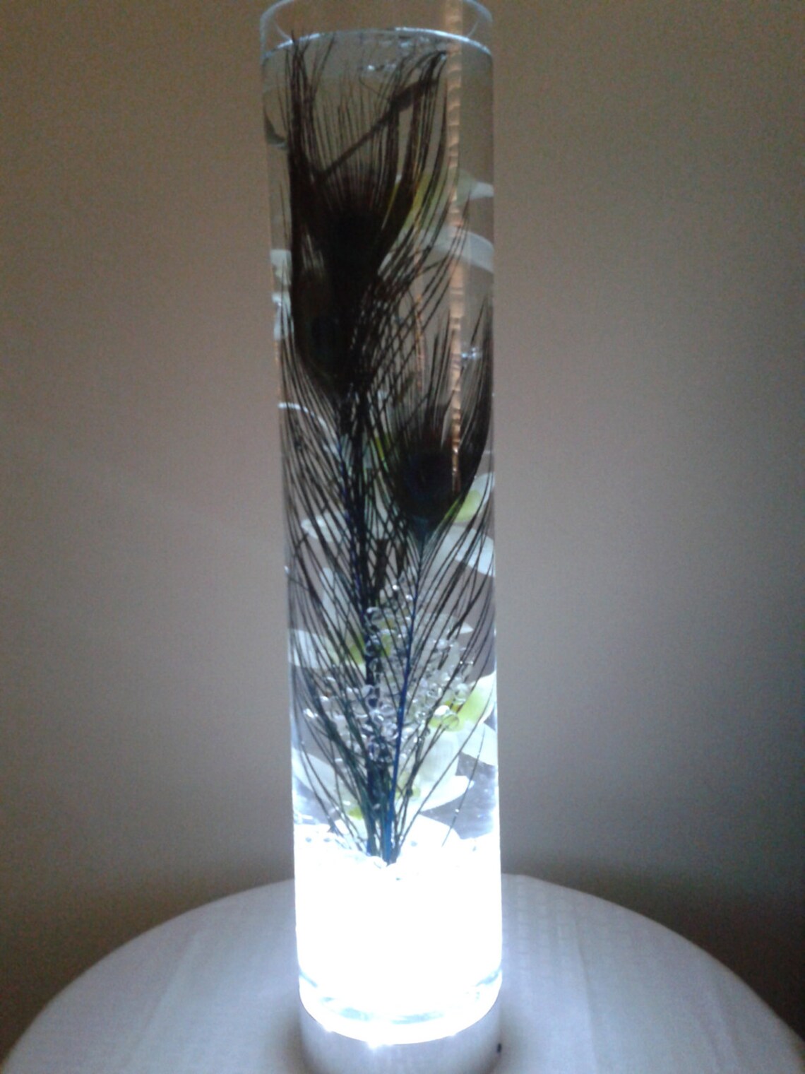 Peacock Feathers in a Glowing Vase Filled With Water and White Etsy