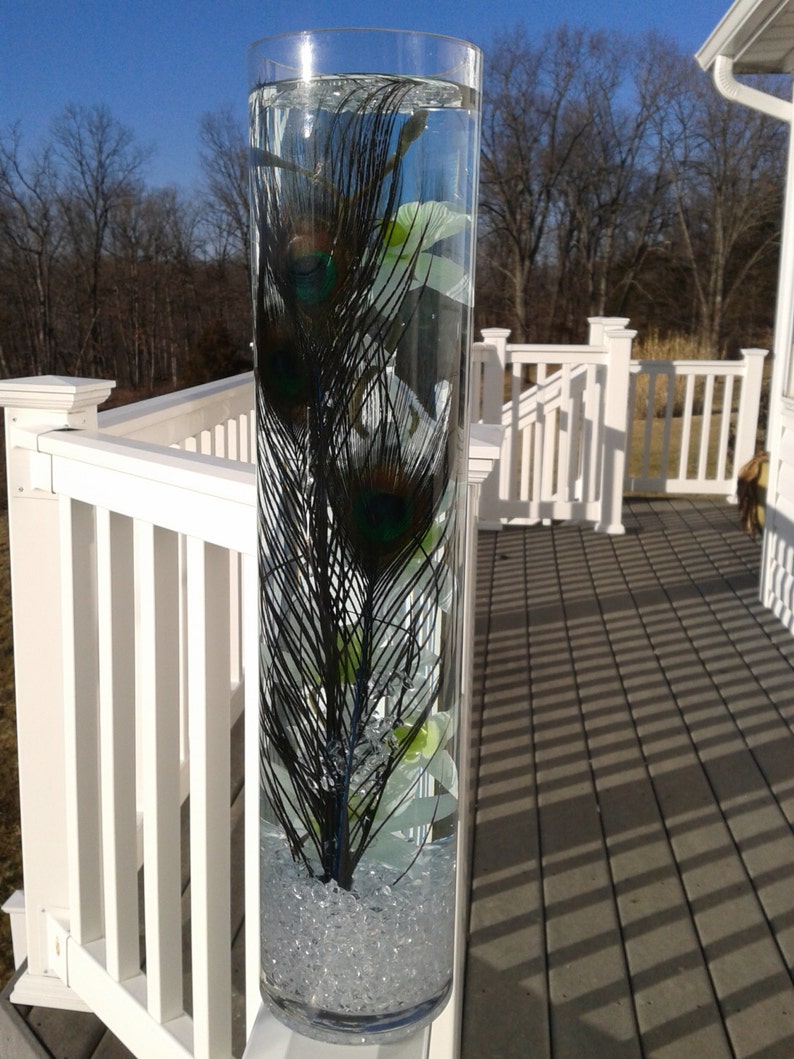 Peacock Feathers in a Glowing Vase Filled With Water and White Etsy