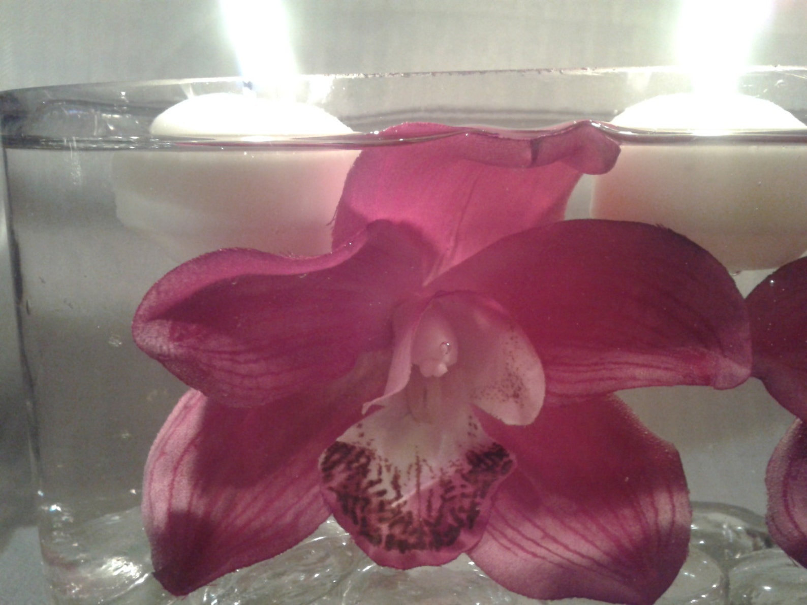 Long Glass Vase With Large Purple Flowers, Crystals, and Floating