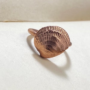 Copper Venus Seashell ring- Real Venus clam shell electroformed in copper- Handmade Nautical Ring- Ready to ship!