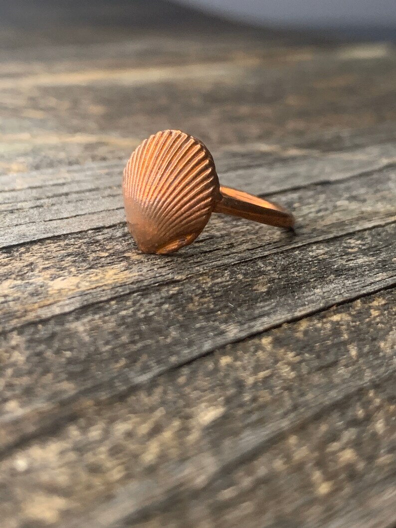 Seashell Ring. Real Shell Electroplated in Copper. Nautical - Etsy