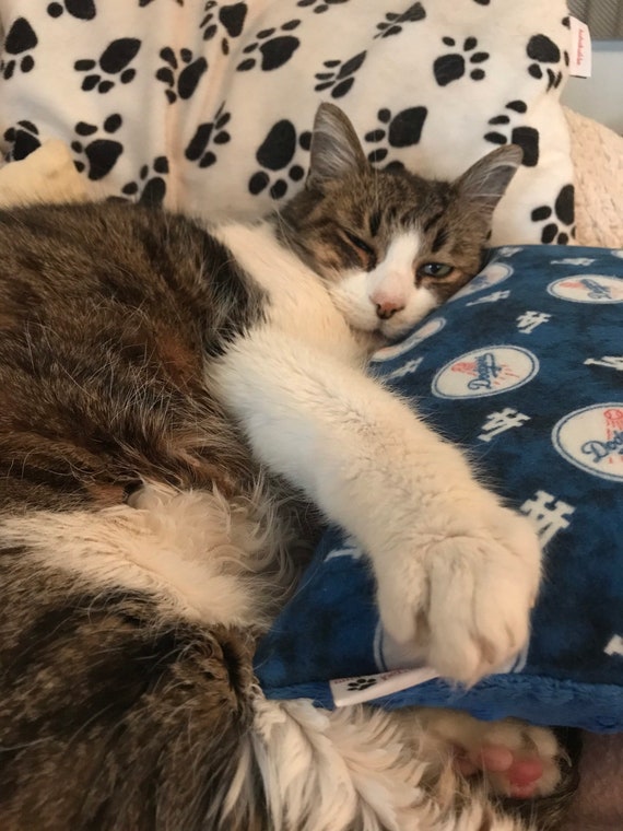 dodger pillow pet