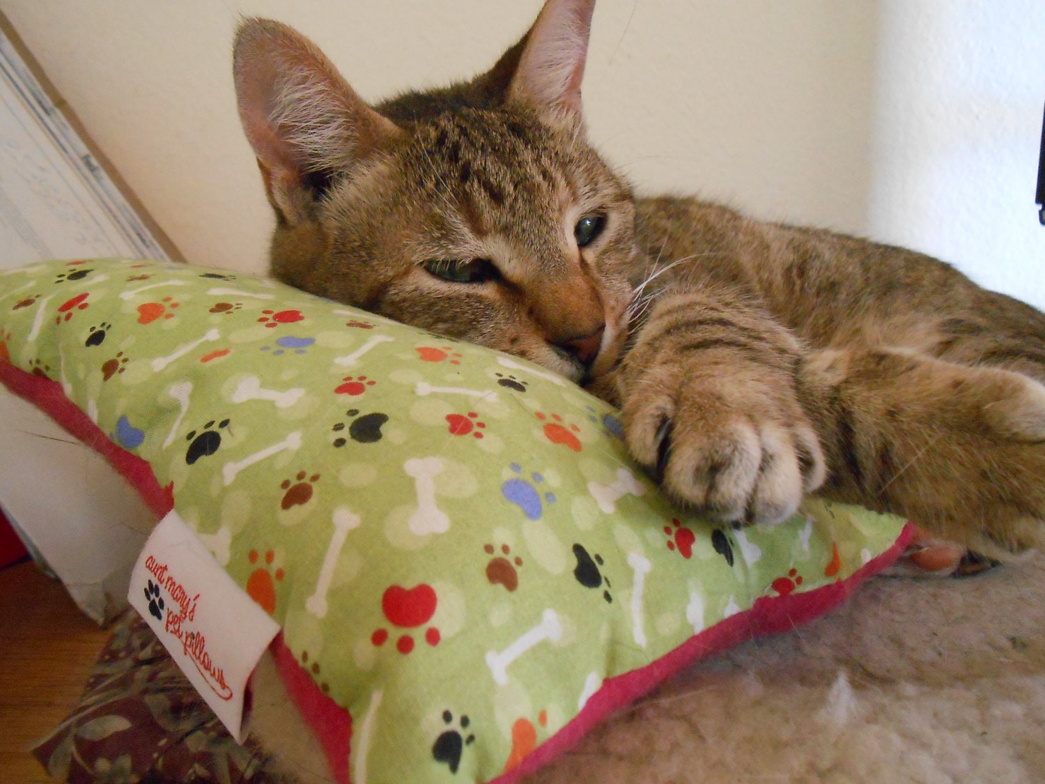 The Everywhere Pet Pillow for Cats