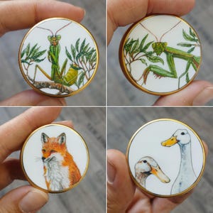 Könnte beinhalten: Vier runde, weiße Keramikstücke mit goldenen Rändern, die jeweils eine andere Tierillustration zeigen. Eines zeigt eine Gottesanbeterin, ein anderes einen Fuchs, und die anderen zeigen Enten. Die Illustrationen sind detailliert und farbenfroh.