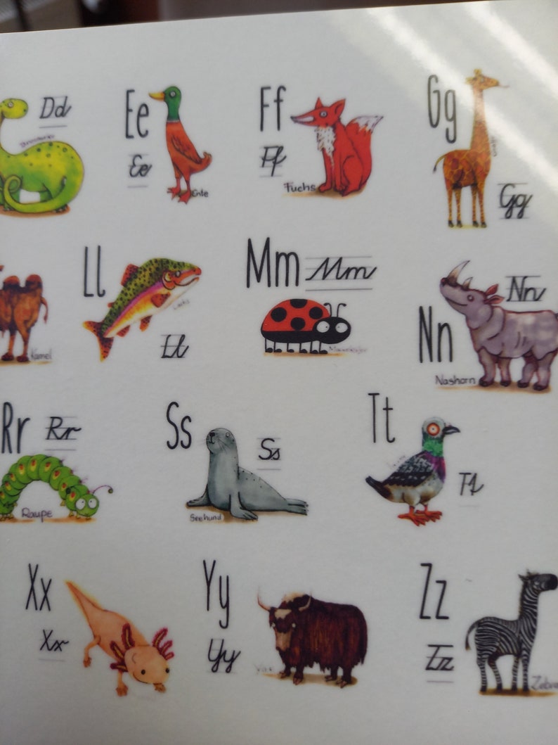 Breakfast board funny animal ABC made of melamine educational aid back to school gift image 5