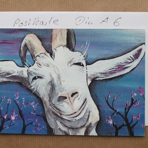 Postkarte "Das Lächeln der Ziege"