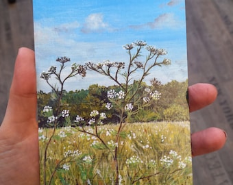 Postcard meadow with grasses