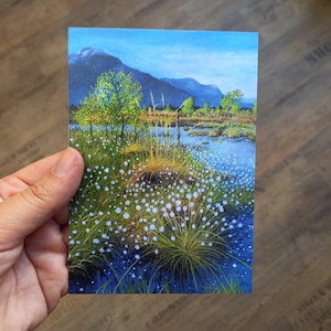 Postkarte Frühling im Moor Bergfrühling Landschaftskarte