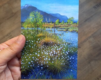 Postkarte Frühling im Moor Bergfrühling Landschaftskarte