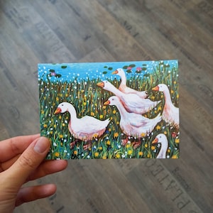 Troep ganzen bij de vijverbriefkaart