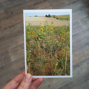 Fotokaart ansichtkaart zomer DIN A6 blanco veld en bloemenweide bloemenkaart