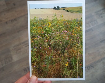 Photo Card Postcard Summer Din A6 blank field and flower meadow Flower card