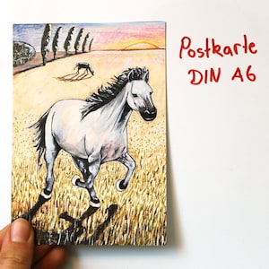 Postkarte Wildpferd Bild 1