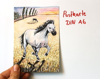 Postkarte "Wildpferd"