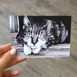 Postkarte "Katze" Katzenkarte