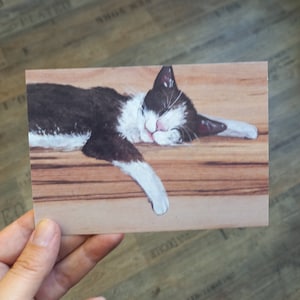 Cartolina con gatto bianco nero che dorme
