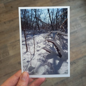 Fotokarte Postkarte verschneiter Wald Din A6 blanko weihnachtskarte