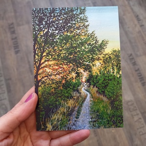 Sentiero nel bosco da cartolina con la luce del sole