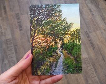 Sentiero nel bosco da cartolina con la luce del sole