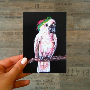 Postkarte "Rosa Kakadu"