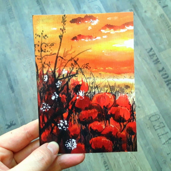 Postkarte Mohnfeld in der Abendsonne