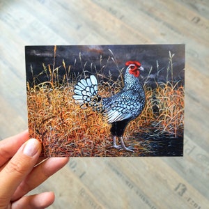 Cartolina di Pasqua con pollo