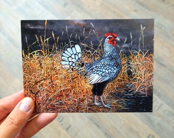 Postcard Chicken Easter Card