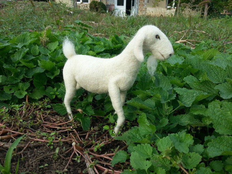 Needle felted Goat soft sculpture, white goat, pure wool goat image 6