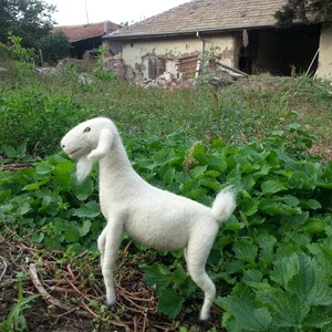 Needle felted Goat soft sculpture, white goat, pure wool goat image 7