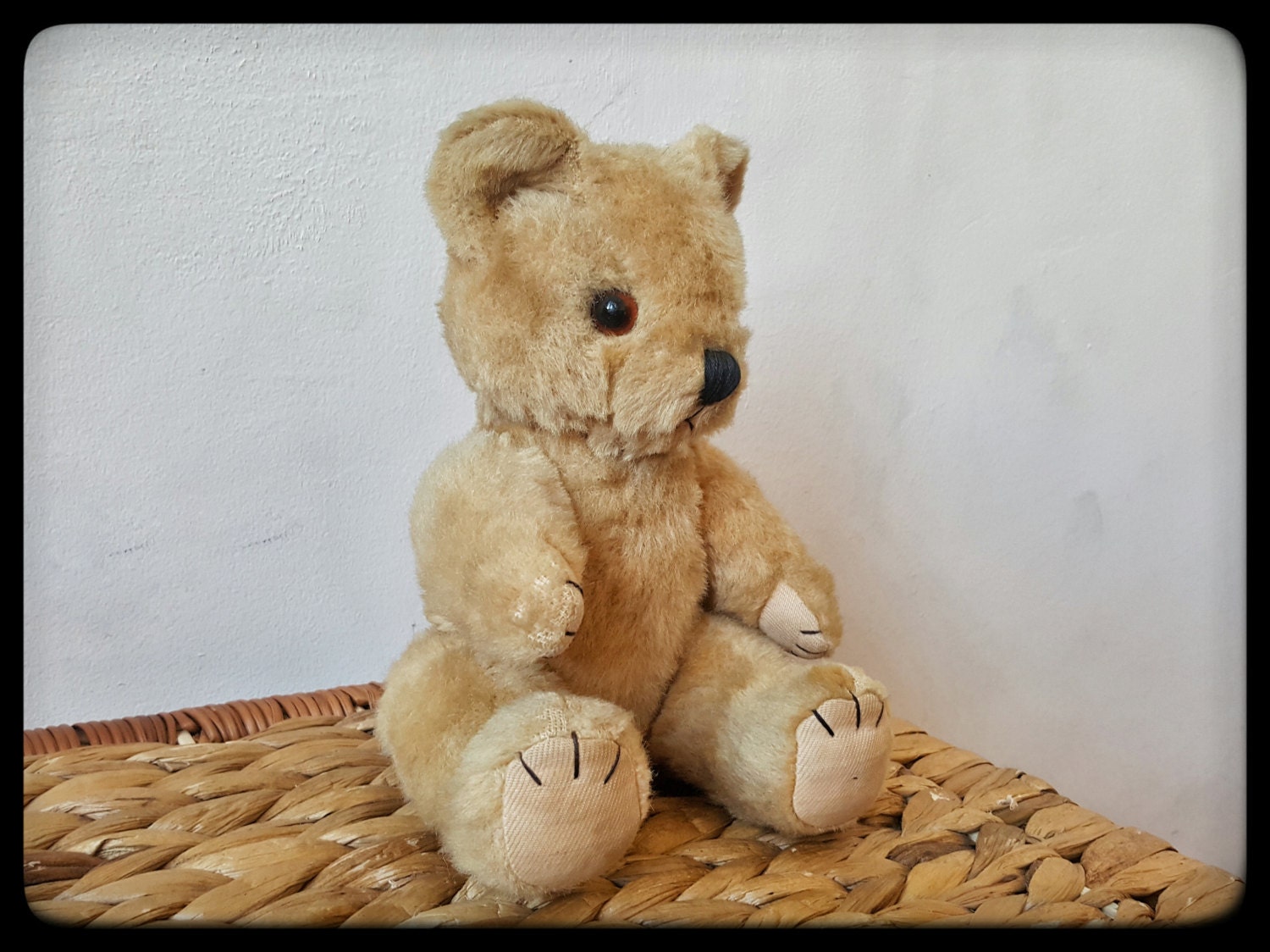 オーストラリア All About Bears Settler Bears テディベア