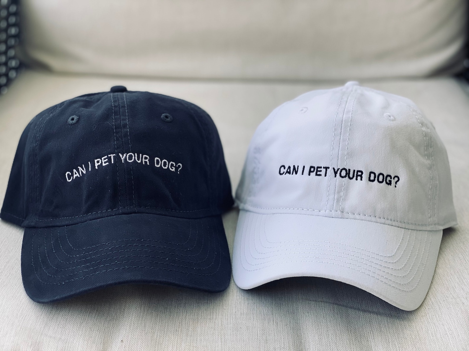 Can I Pet Your Dog Embroidered Hat Etsy