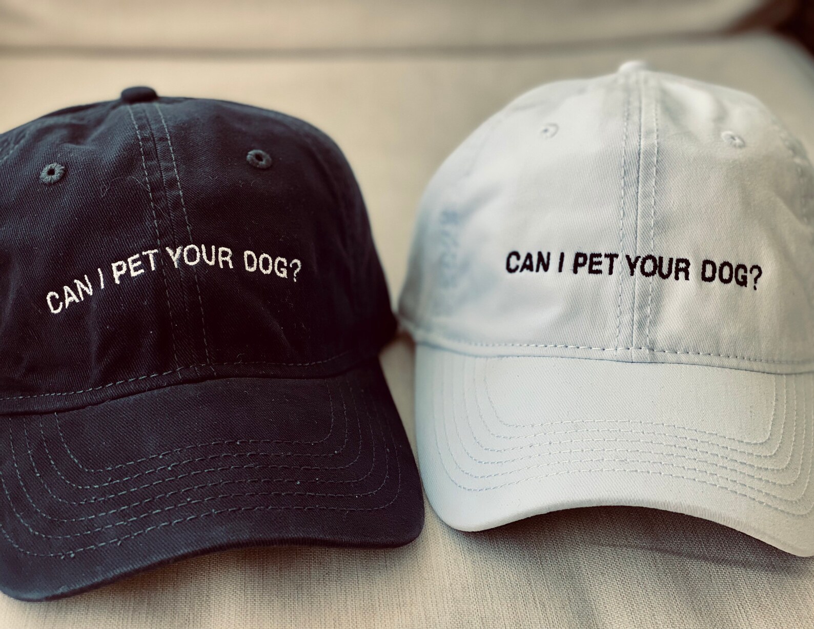 Can I Pet Your Dog Embroidered Hat Etsy