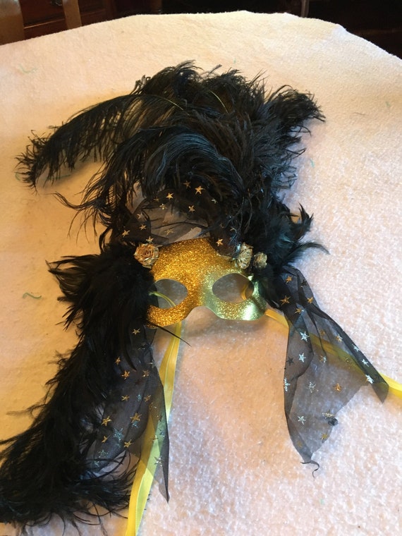Mardi Gras Fancy feather mask