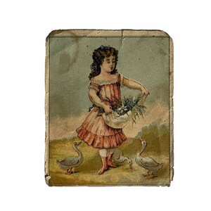 May include: A vintage illustration of a young girl in a pink dress holding a basket of flowers. Three white geese are in the foreground.