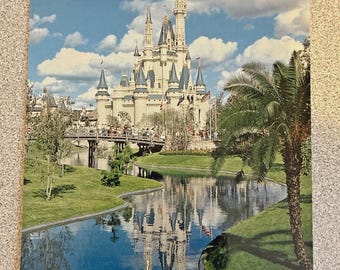 Postal antigua del Castillo de Cenicienta de Walt Disney World, de 10 x 15 cm (4 x 6 pulgadas) - 1998