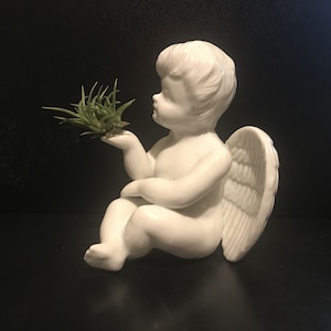 Tilla Critters Angel&#39;s Kiss One of a Kind Airplant Creations by Chili Fiesta Handiworks