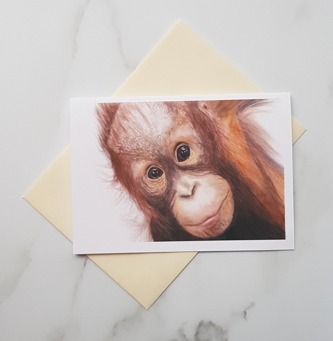 Orangutan Blank Greetings Card A6 Greeting Card Notelet Etsy