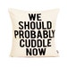 We Should Probably Cuddle Now Pillow Cover // 16'x16' natural/oatmeal   Silk Screen Pillow Cover 