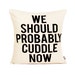 We Should Probably Cuddle Now Pillow Cover // 16'x16' natural/oatmeal   Silk Screen Pillow Cover 