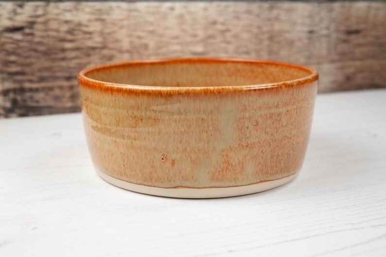 Stoneware Pet Bowl Fiery Orange Dog Bowl Water Bowl Food Etsy UK