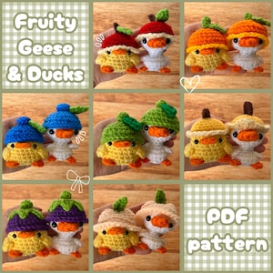 May include: A collection of crocheted duck and goose figures, each with a unique fruit-themed hat. The ducks and geese are yellow and white, with orange beaks and feet. The hats are various colors, including red, orange, blue, and green. The text "Fruity Geese & Ducks" is visible.