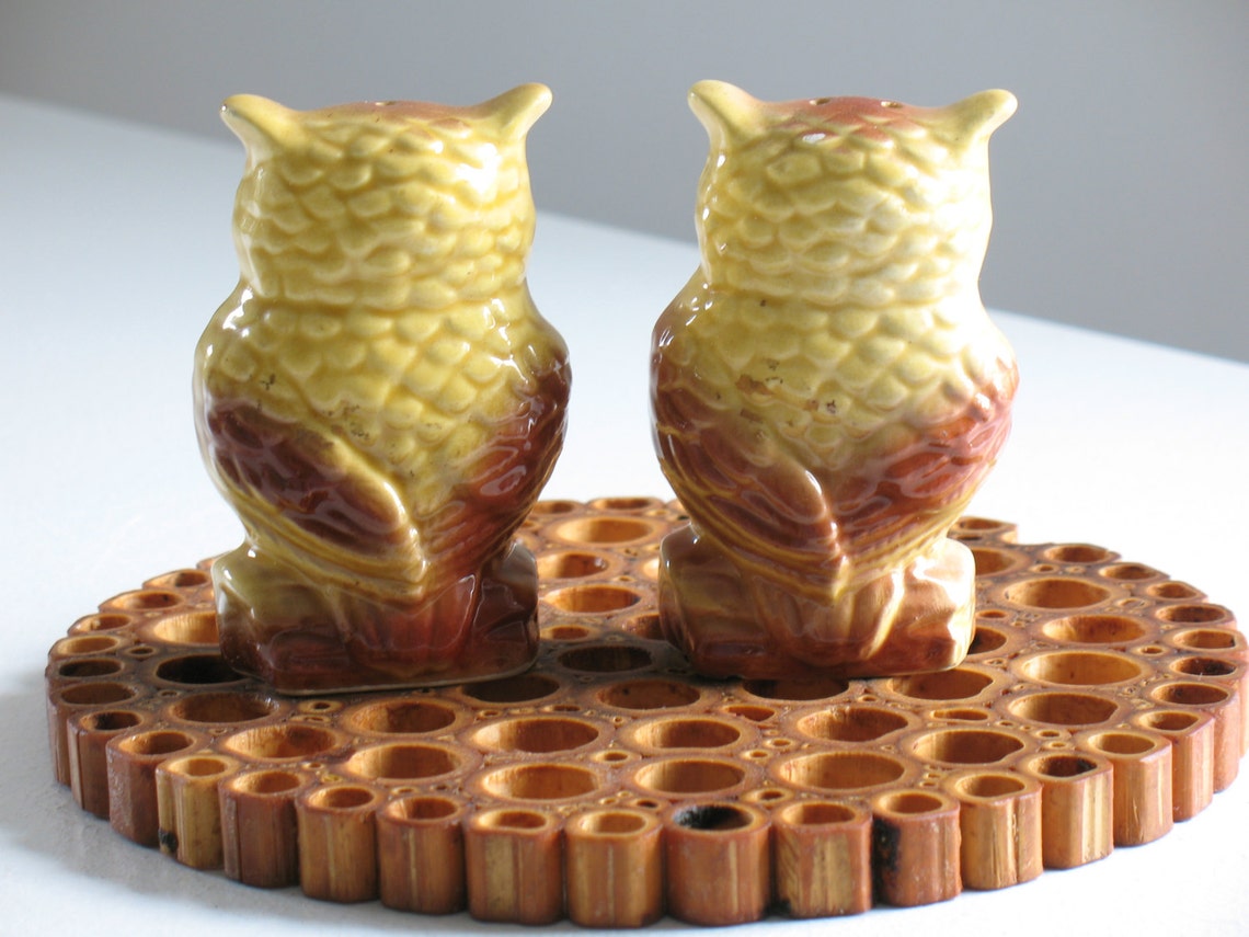 Vintage ceramic owl Salt and Pepper Shakers / Knoxville Etsy