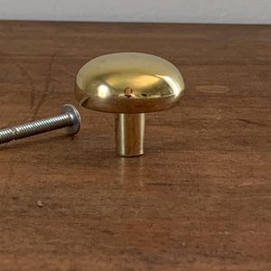 May include: A polished brass cabinet knob with a smooth, rounded mushroom-shaped head and a cylindrical base. A silver-toned metal screw with a threaded shaft and a flat head is positioned horizontally to the left of the brass knob.
