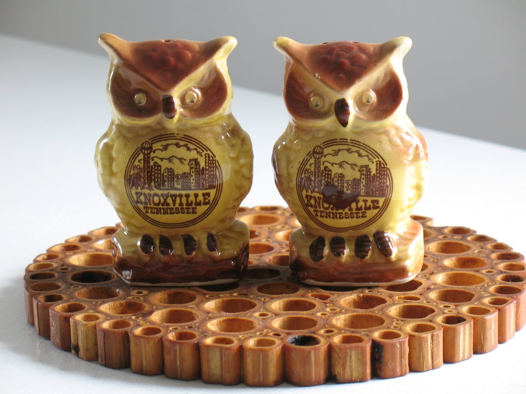 Vintage Ceramic Owl Salt and Pepper Shakers / Knoxville Etsy