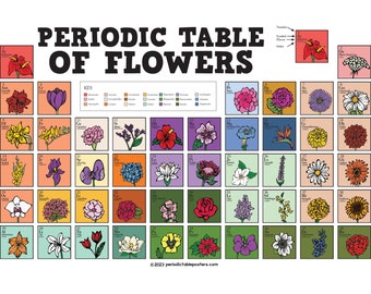 Periodic Table of Flowers Poster