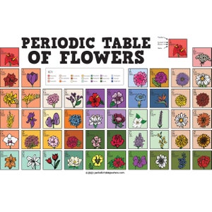 Periodic Table of Flowers Poster image 1