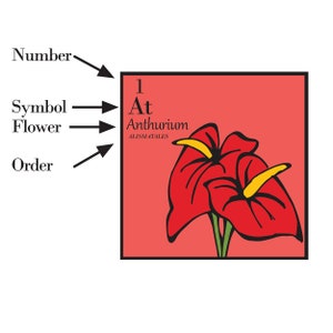 Periodic Table of Flowers Poster image 8