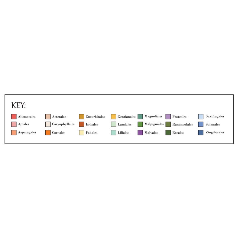 Periodic Table of Flowers Poster image 7